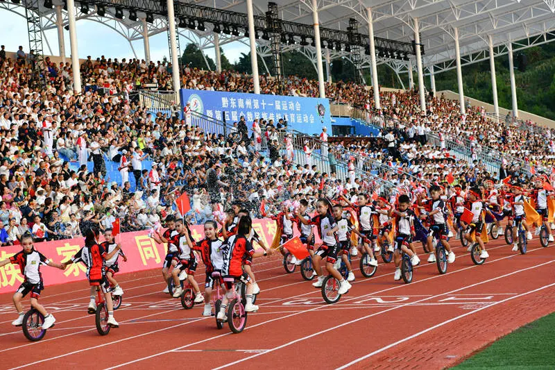 大项, 轮车表演